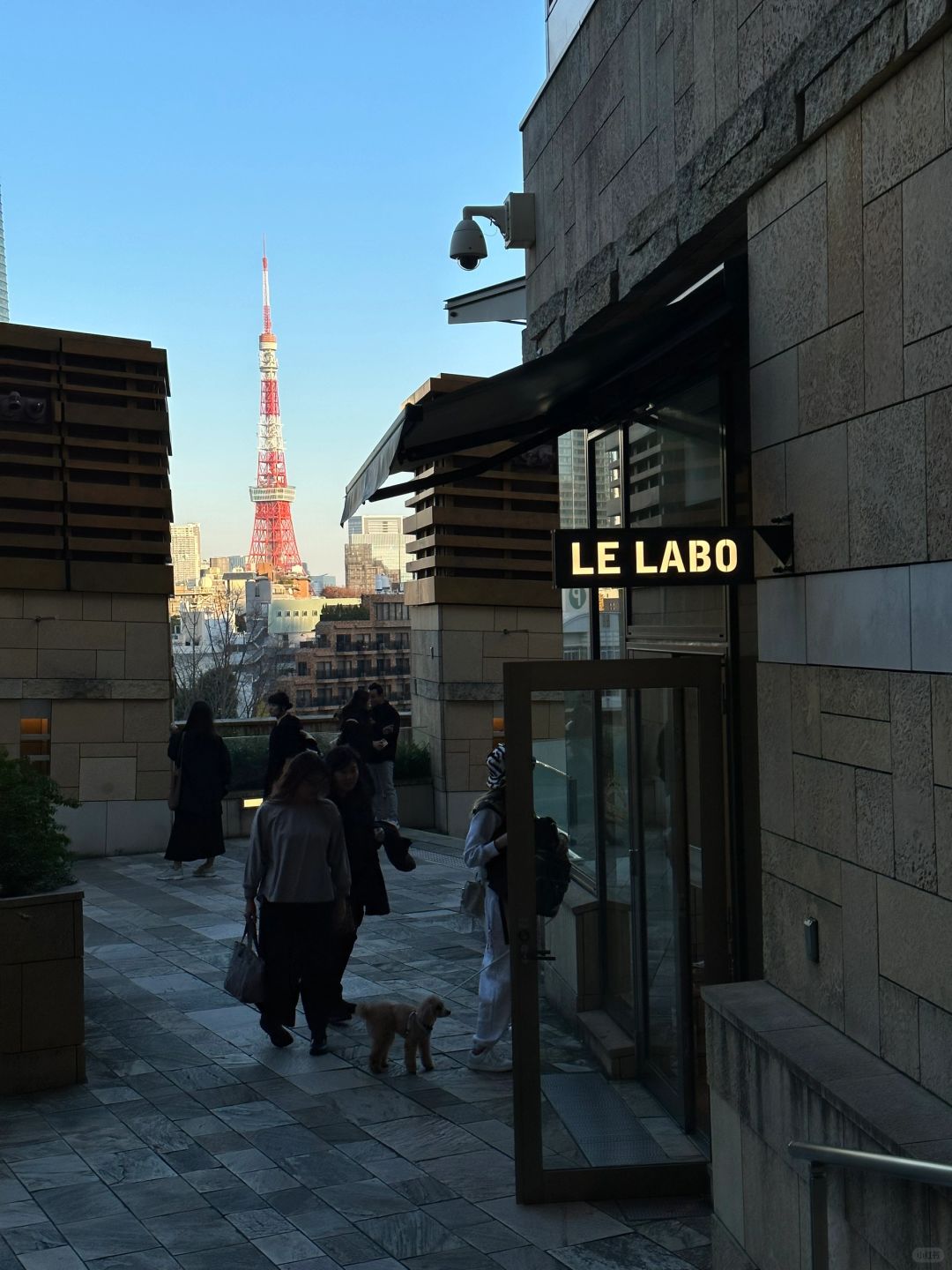 Tokyo-The sky bar of the Prince Hotel,The cafe of the Nezu Museum of Art,Harry Potter Studios