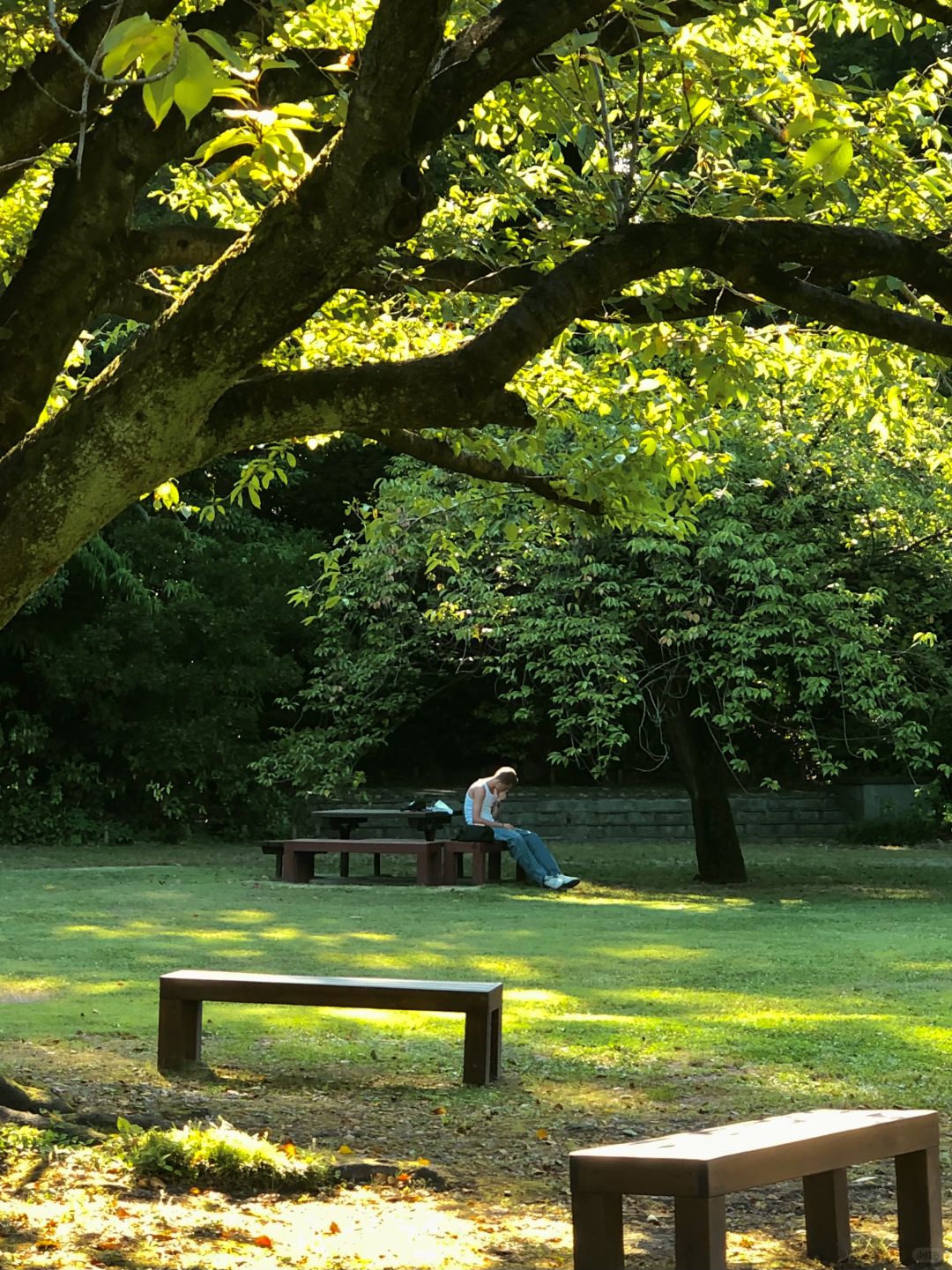 Tokyo-Tokyo｜Kyosumi Shirakawa🍃Tokyo’s niche neighborhood (with route)