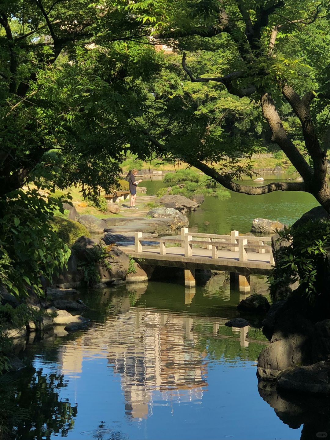 Tokyo-Tokyo｜Kyosumi Shirakawa🍃Tokyo’s niche neighborhood (with route)