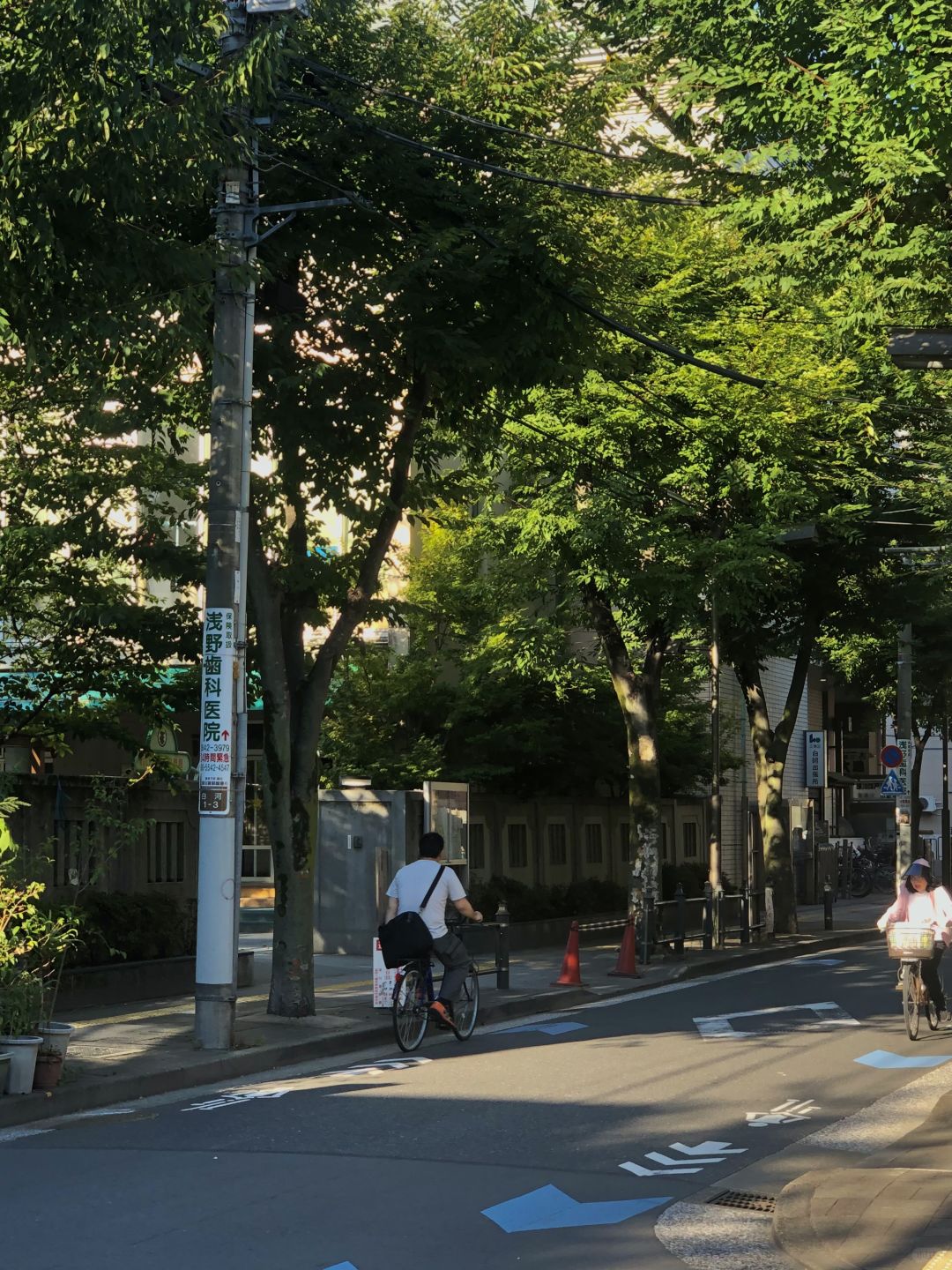 Tokyo-Tokyo｜Kyosumi Shirakawa🍃Tokyo’s niche neighborhood (with route)