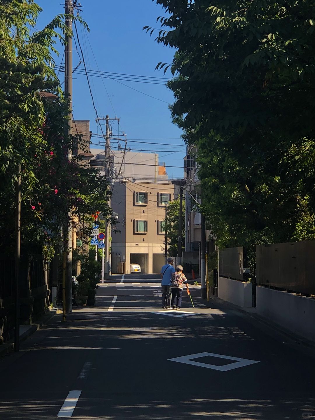 Tokyo-Tokyo｜Kyosumi Shirakawa🍃Tokyo’s niche neighborhood (with route)