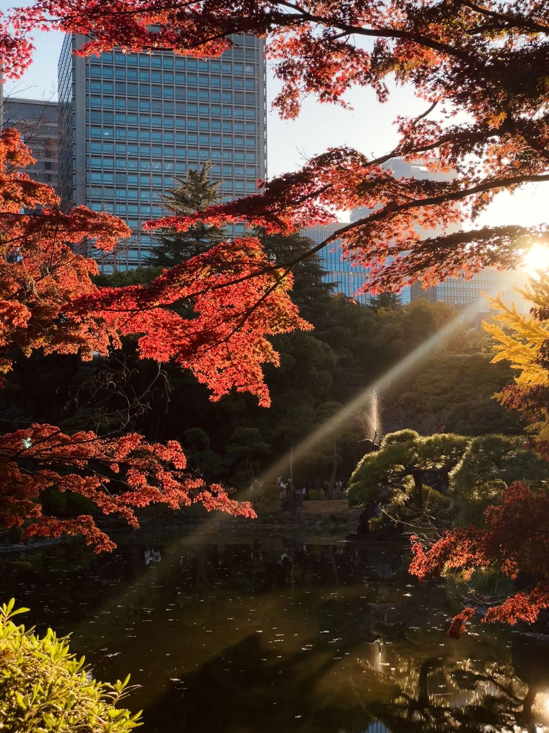 Tokyo-Hibiya Park in Tokyo, Japan, has beautiful scenery, not many people, and no tickets are required