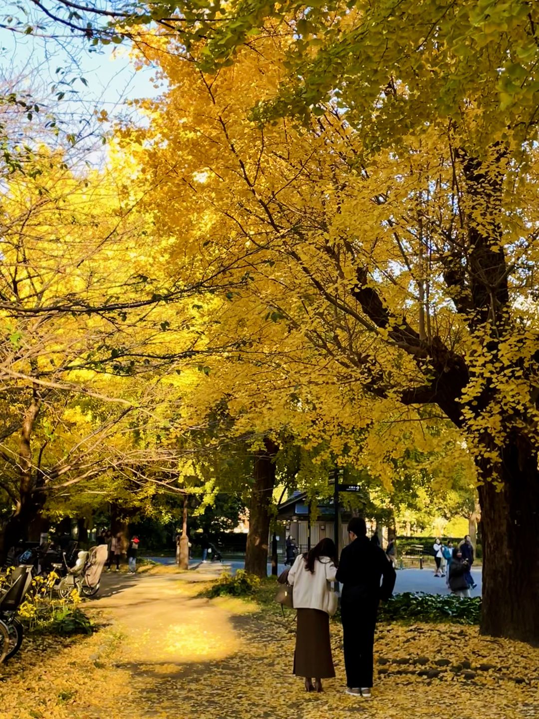 Tokyo-Hibiya Park in Tokyo, Japan, has beautiful scenery, not many people, and no tickets are required