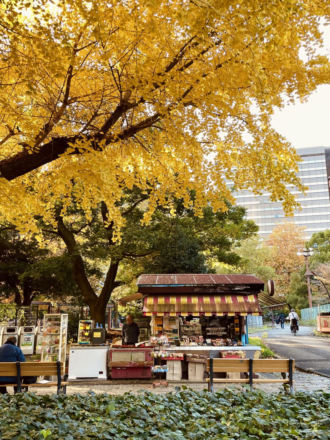 Tokyo-Hibiya Park in Tokyo, Japan, has beautiful scenery, not many people, and no tickets are required