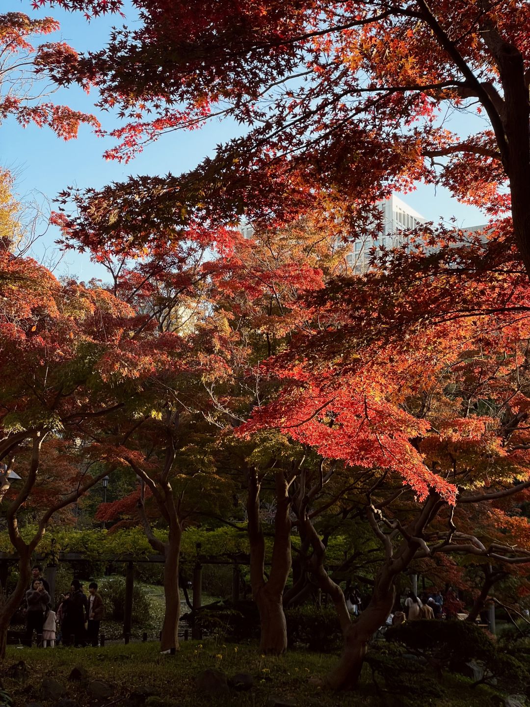 Tokyo-Hibiya Park in Tokyo, Japan, has beautiful scenery, not many people, and no tickets are required