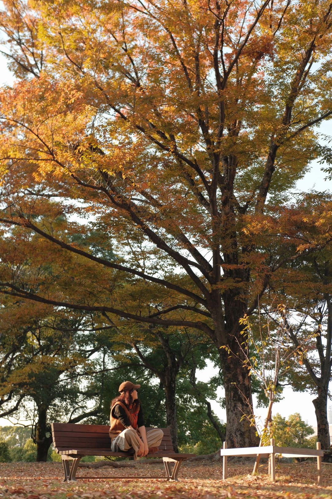 Osaka-The Tower of the Sun,Expo Commemorative Park,National Museum of Ethnology and a Japanese garden area