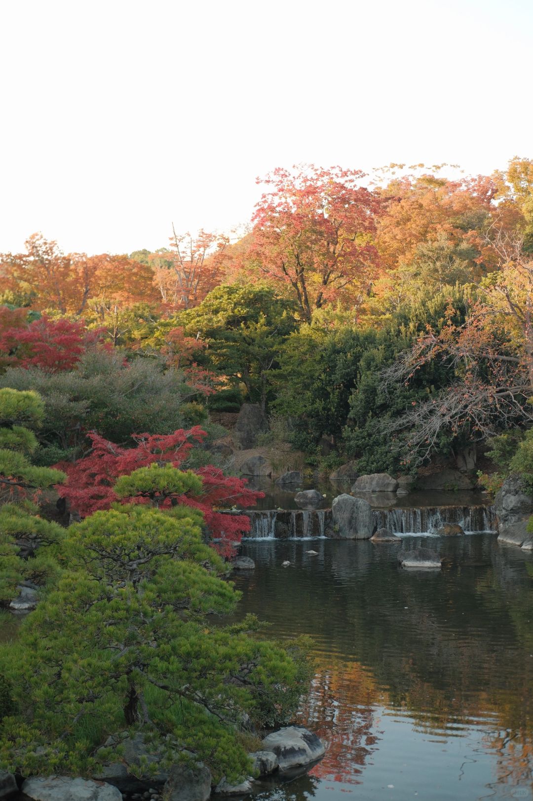 Osaka-The Tower of the Sun,Expo Commemorative Park,National Museum of Ethnology and a Japanese garden area