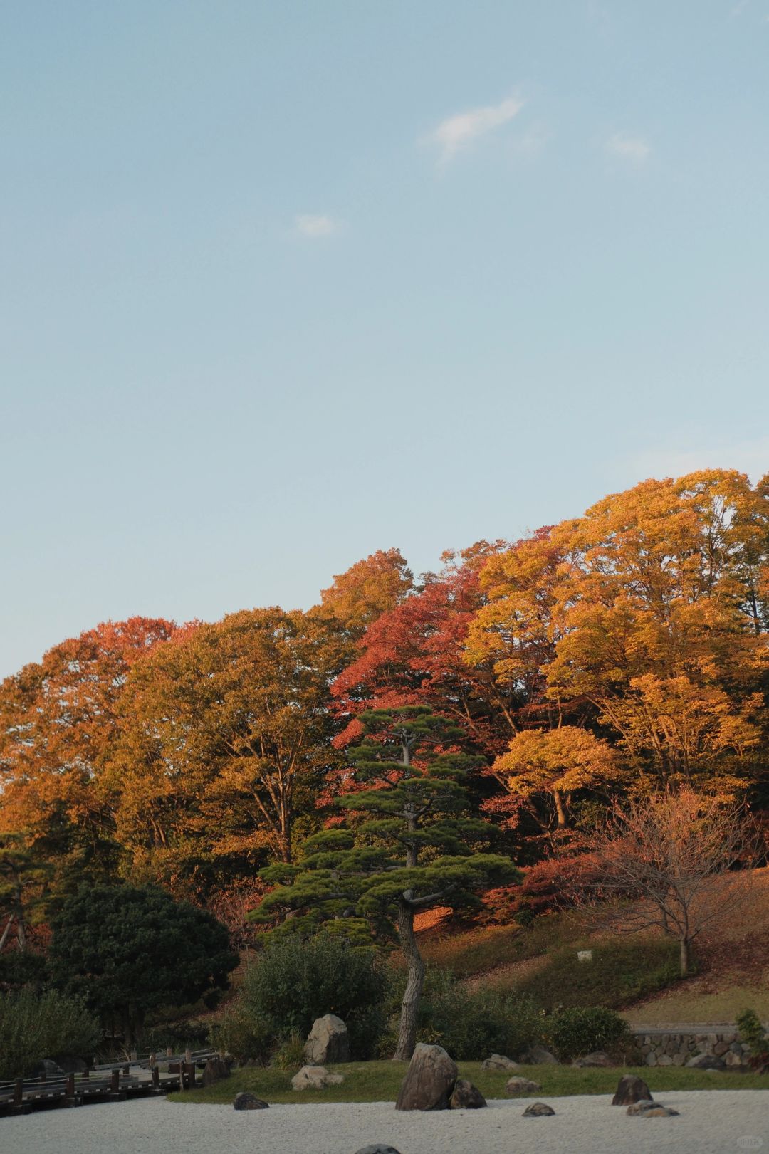 Osaka-The Tower of the Sun,Expo Commemorative Park,National Museum of Ethnology and a Japanese garden area