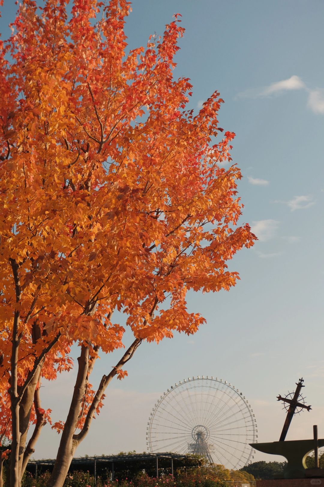 Osaka-The Tower of the Sun,Expo Commemorative Park,National Museum of Ethnology and a Japanese garden area