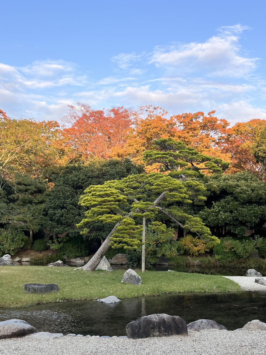 Osaka-The Tower of the Sun,Expo Commemorative Park,National Museum of Ethnology and a Japanese garden area