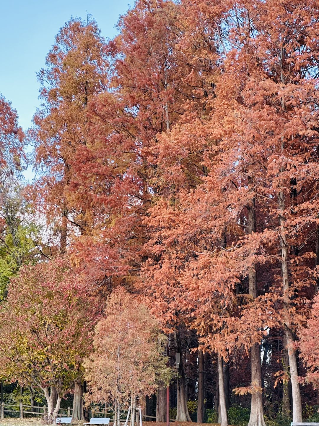 Osaka-Nagai Park of Osaka Park Series