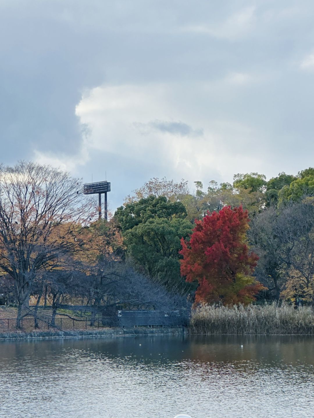 Osaka-Nagai Park of Osaka Park Series