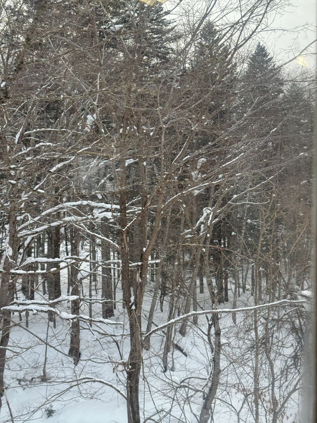 Sapporo/Hokkaido-Private hot springs in Hokkaido that almost no one has ever published