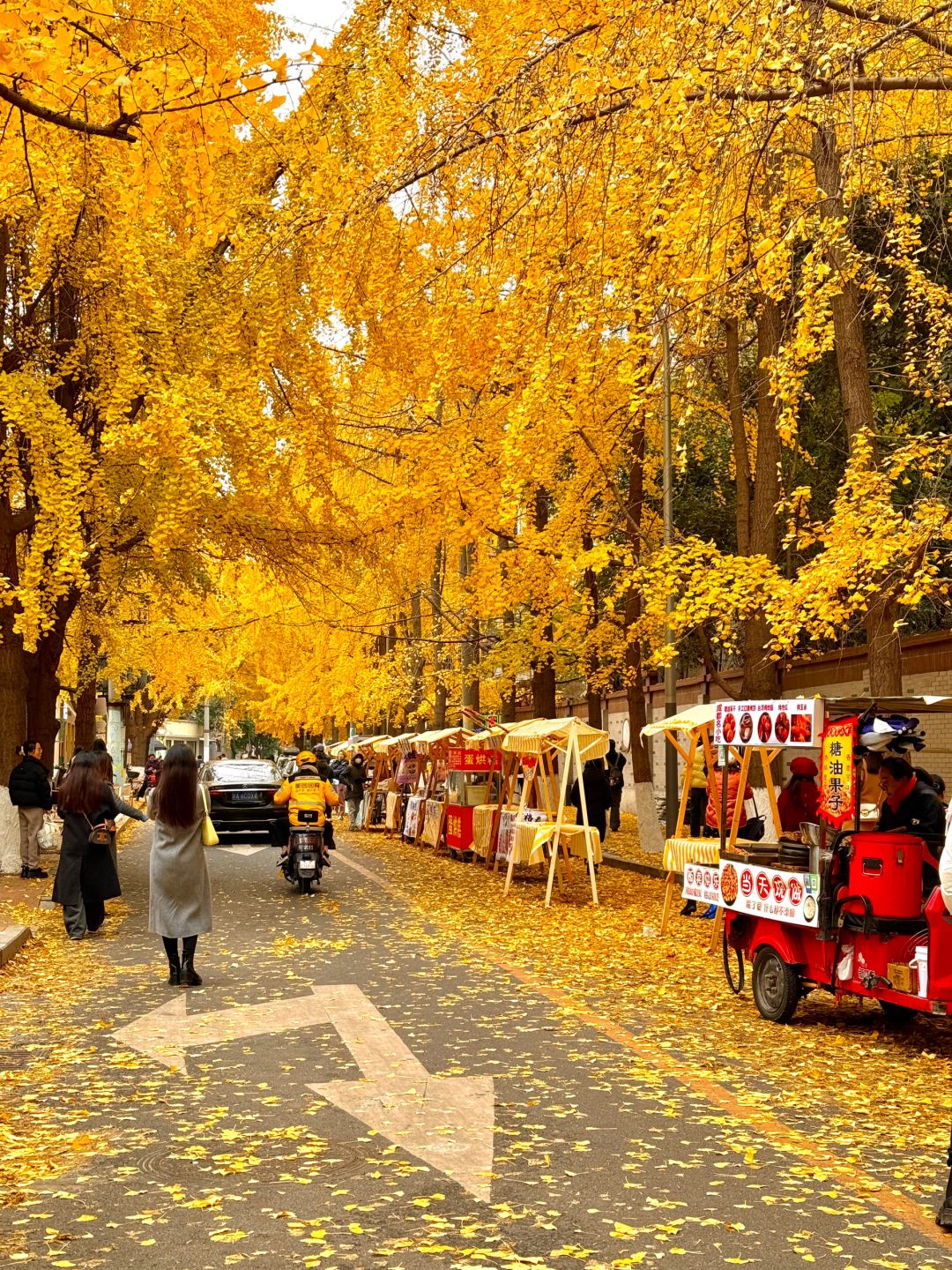 Chengdu/Chongqing-12.12 real shot! You can also enjoy free ginkgo viewing in the Chengdu！