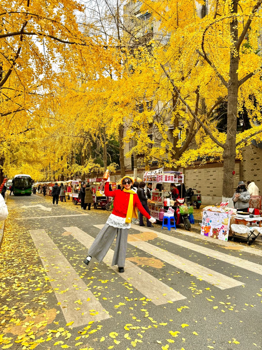 Chengdu/Chongqing-12.12 real shot! You can also enjoy free ginkgo viewing in the Chengdu！