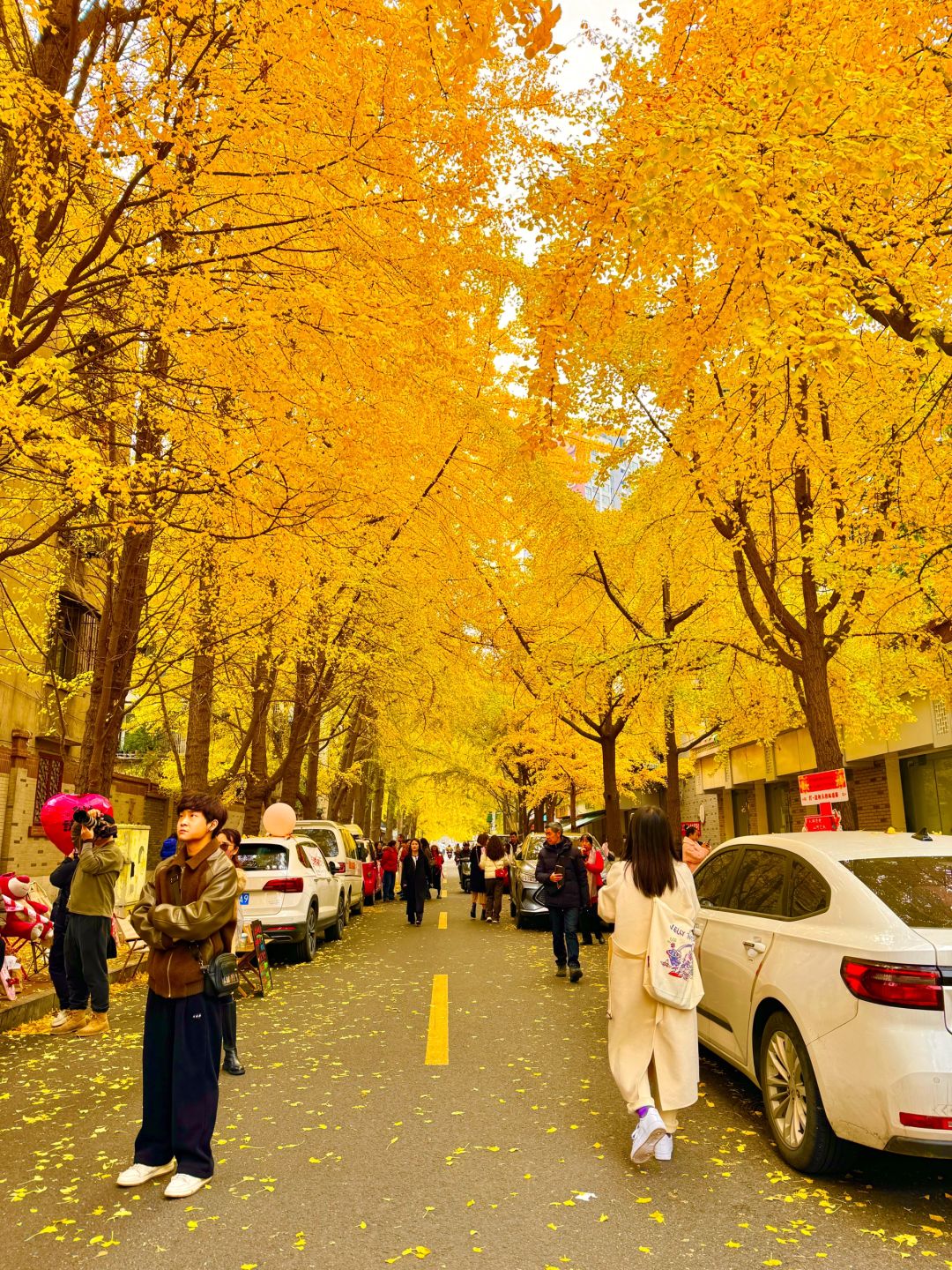 Chengdu/Chongqing-12.12 real shot! You can also enjoy free ginkgo viewing in the Chengdu！