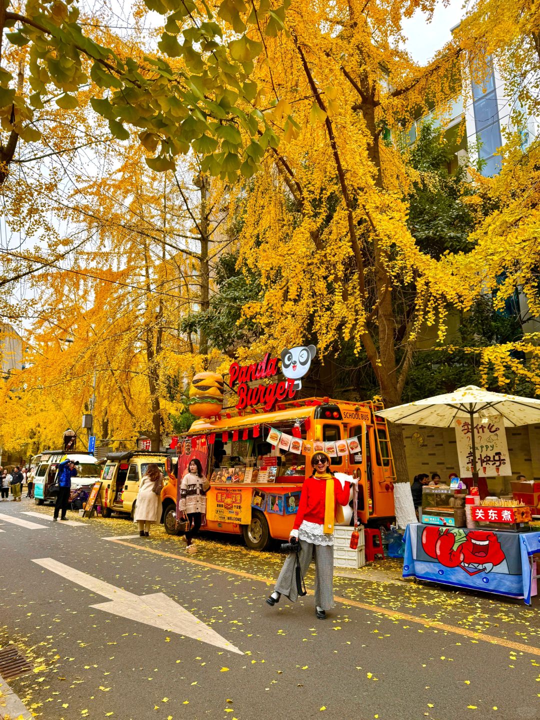 Chengdu/Chongqing-12.12 real shot! You can also enjoy free ginkgo viewing in the Chengdu！