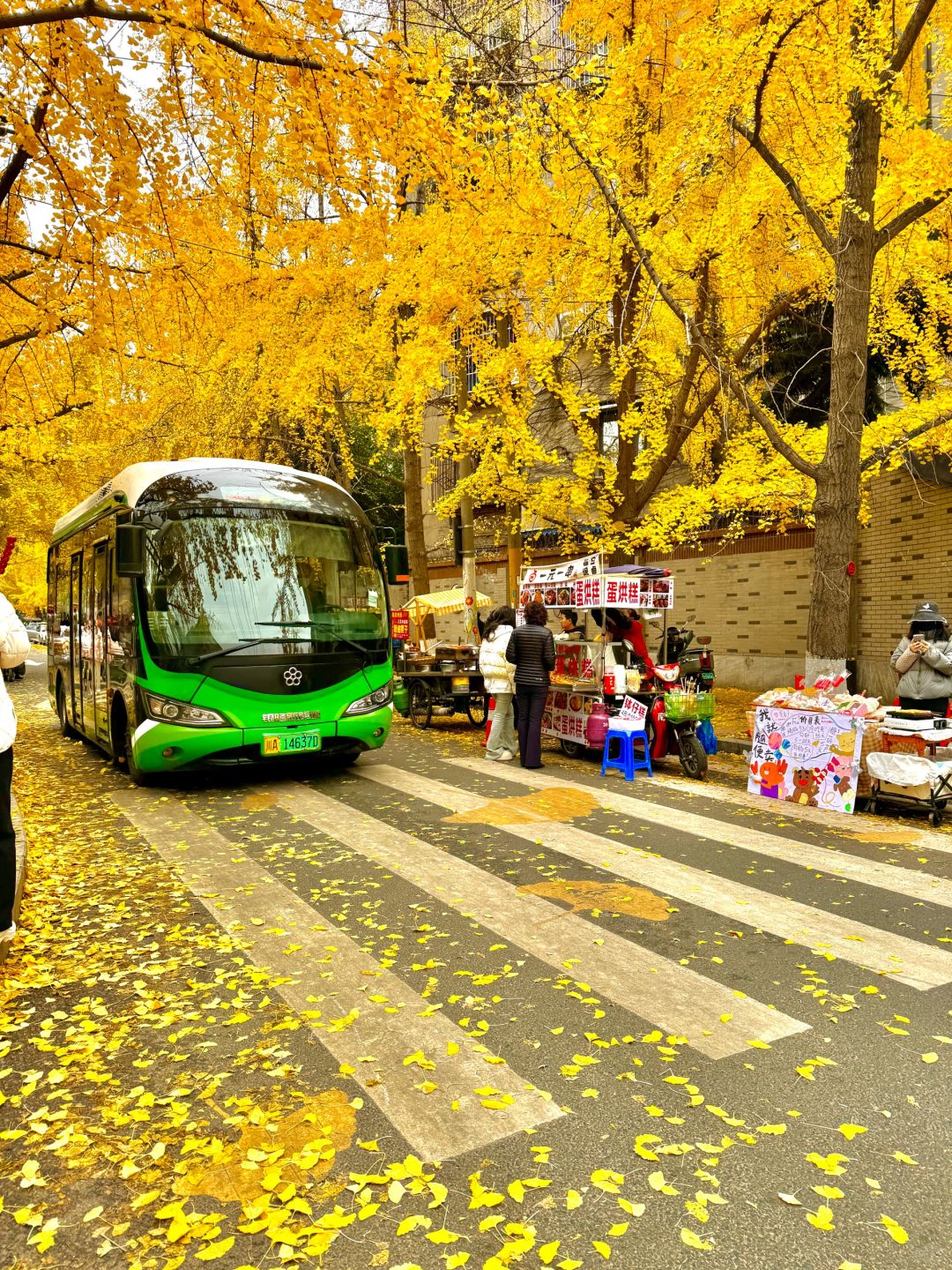 Chengdu/Chongqing-12.12 real shot! You can also enjoy free ginkgo viewing in the Chengdu！