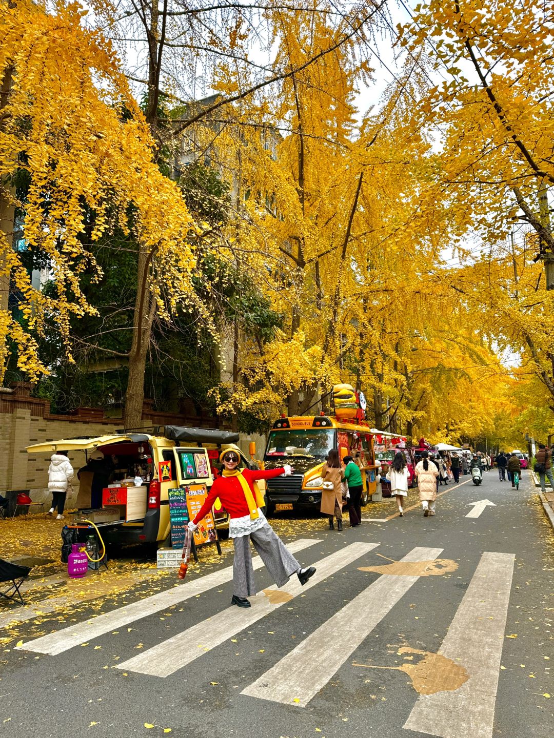 Chengdu/Chongqing-12.12 real shot! You can also enjoy free ginkgo viewing in the Chengdu！