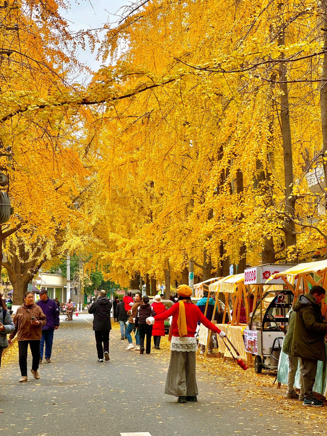 Chengdu/Chongqing-12.12 real shot! You can also enjoy free ginkgo viewing in the Chengdu！