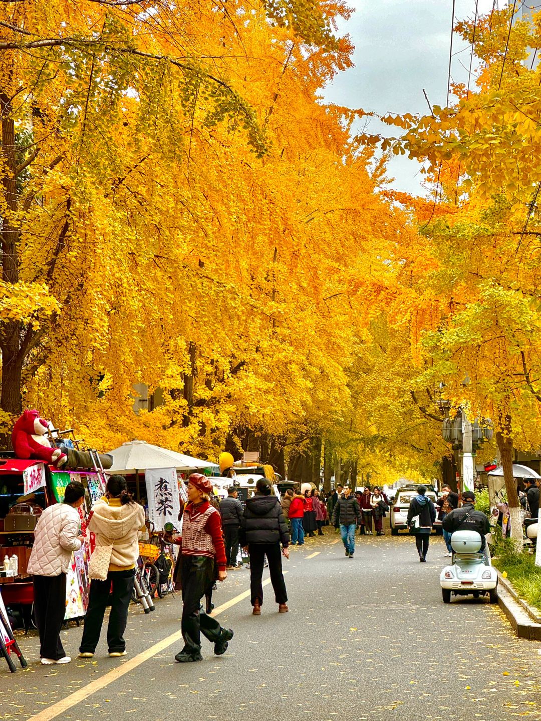 Chengdu/Chongqing-12.12 real shot! You can also enjoy free ginkgo viewing in the Chengdu！