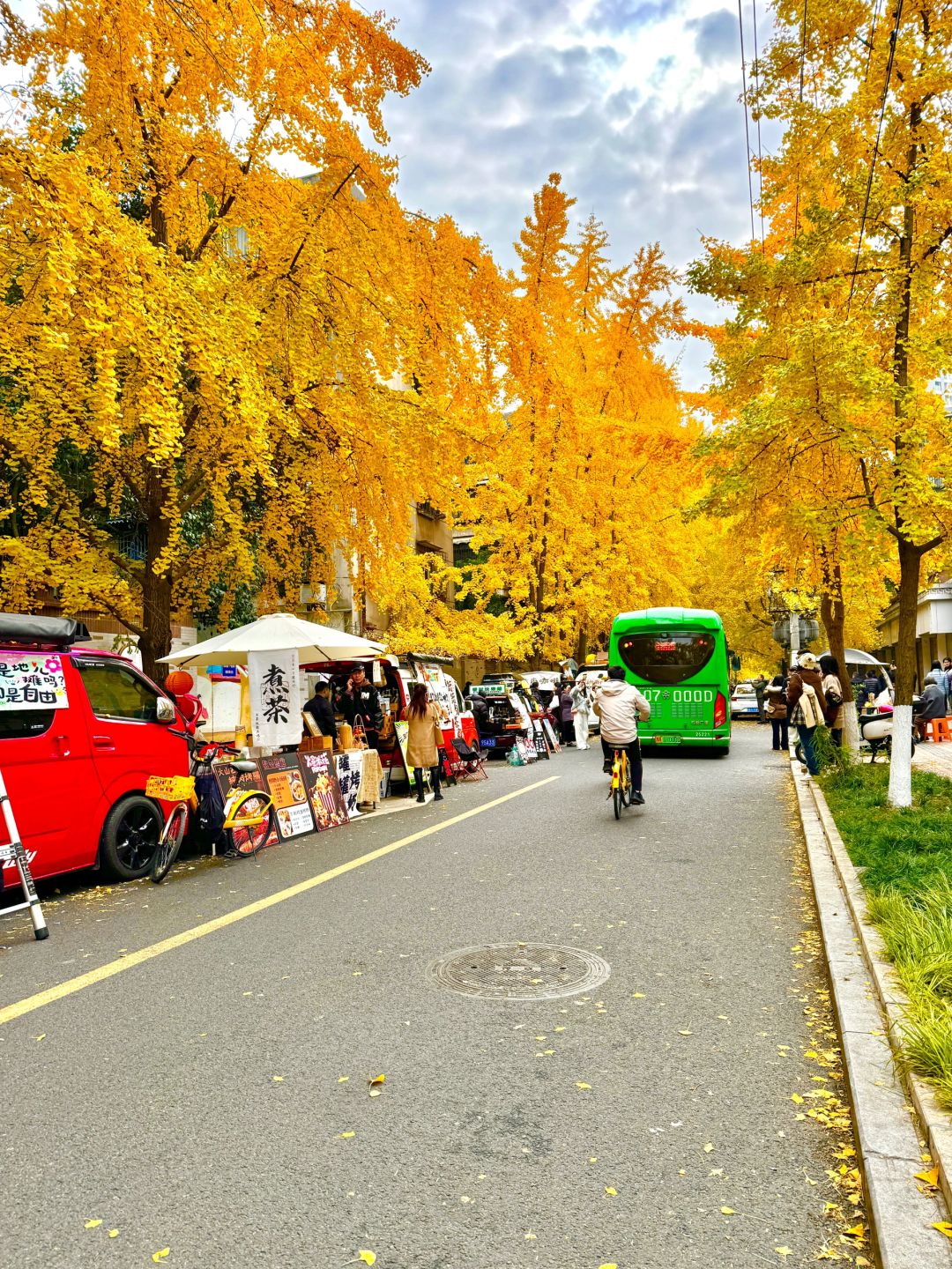 Chengdu/Chongqing-12.12 real shot! You can also enjoy free ginkgo viewing in the Chengdu！