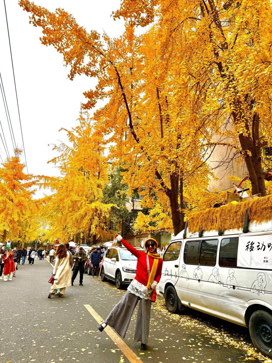 Chengdu/Chongqing-12.12 real shot! You can also enjoy free ginkgo viewing in the Chengdu！