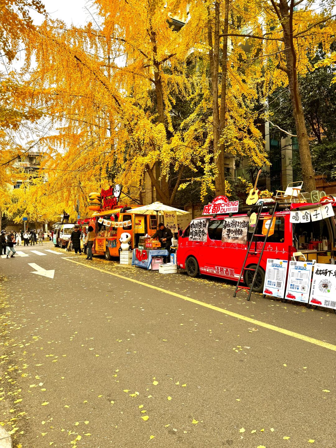 Chengdu/Chongqing-12.12 real shot! You can also enjoy free ginkgo viewing in the Chengdu！