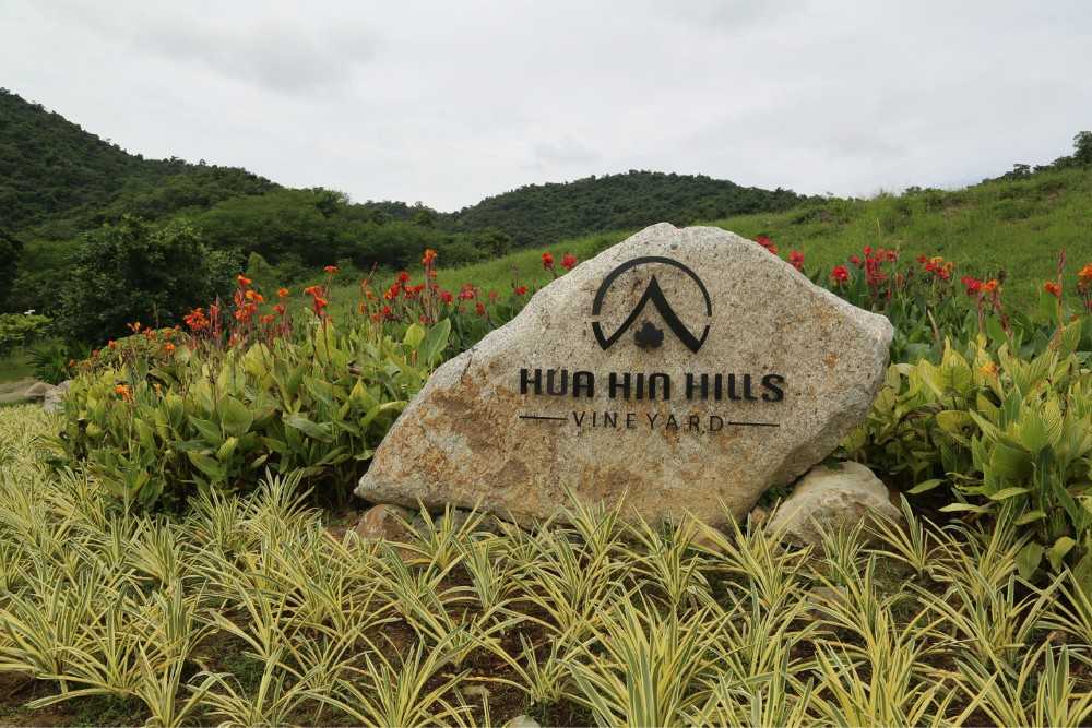 Hua Hin-The French run Huaxin Wine Estate breathes fresh air with slightly mellow wine flavor