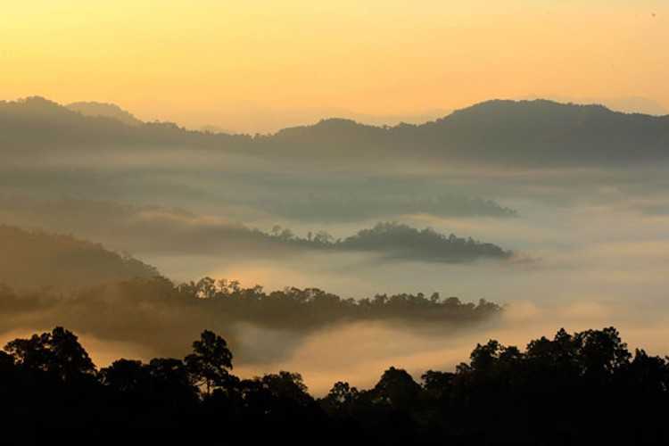 Hua Hin-Kaeng Krachan National Park in Hua Hin, the largest wildlife sanctuary in Thailand