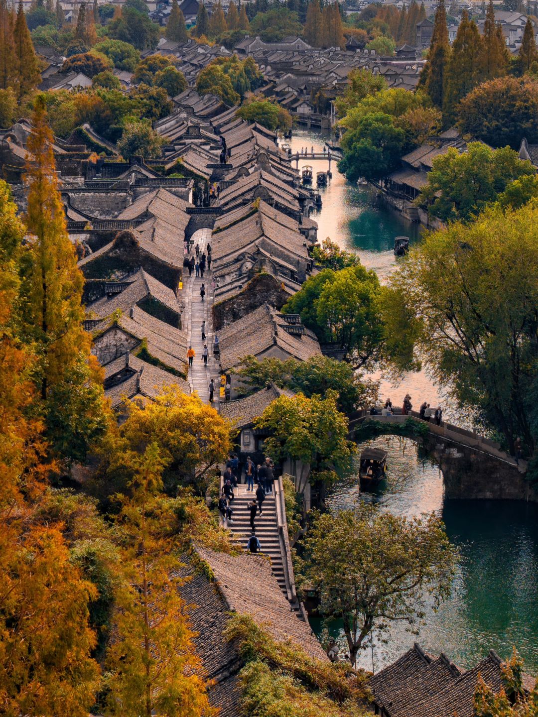 Jiangsu/Zhejiang/Shanghai-If you come to Wuzhen in autumn, please copy this travel guide directl!