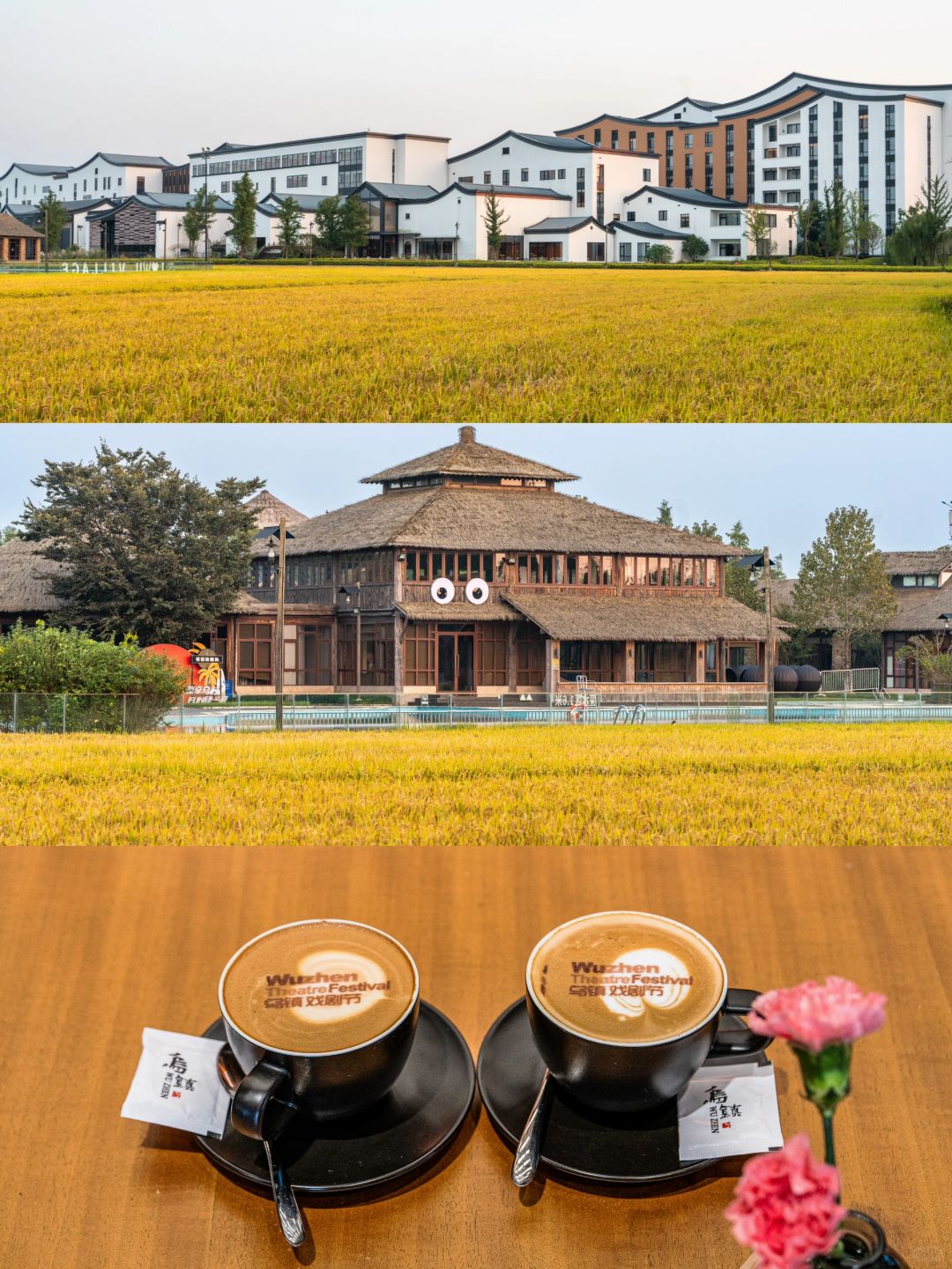 Jiangsu/Zhejiang/Shanghai-If you come to Wuzhen in autumn, please copy this travel guide directl!