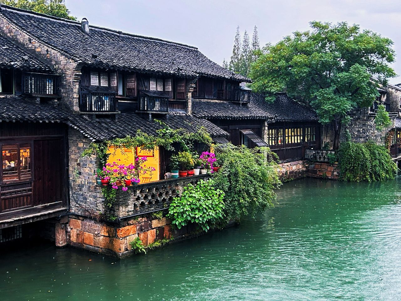 Shanghai/Hangzhou-Wuzhen, Jiangsu is filled with an atmosphere reminiscent of Chinese landscape paintings!