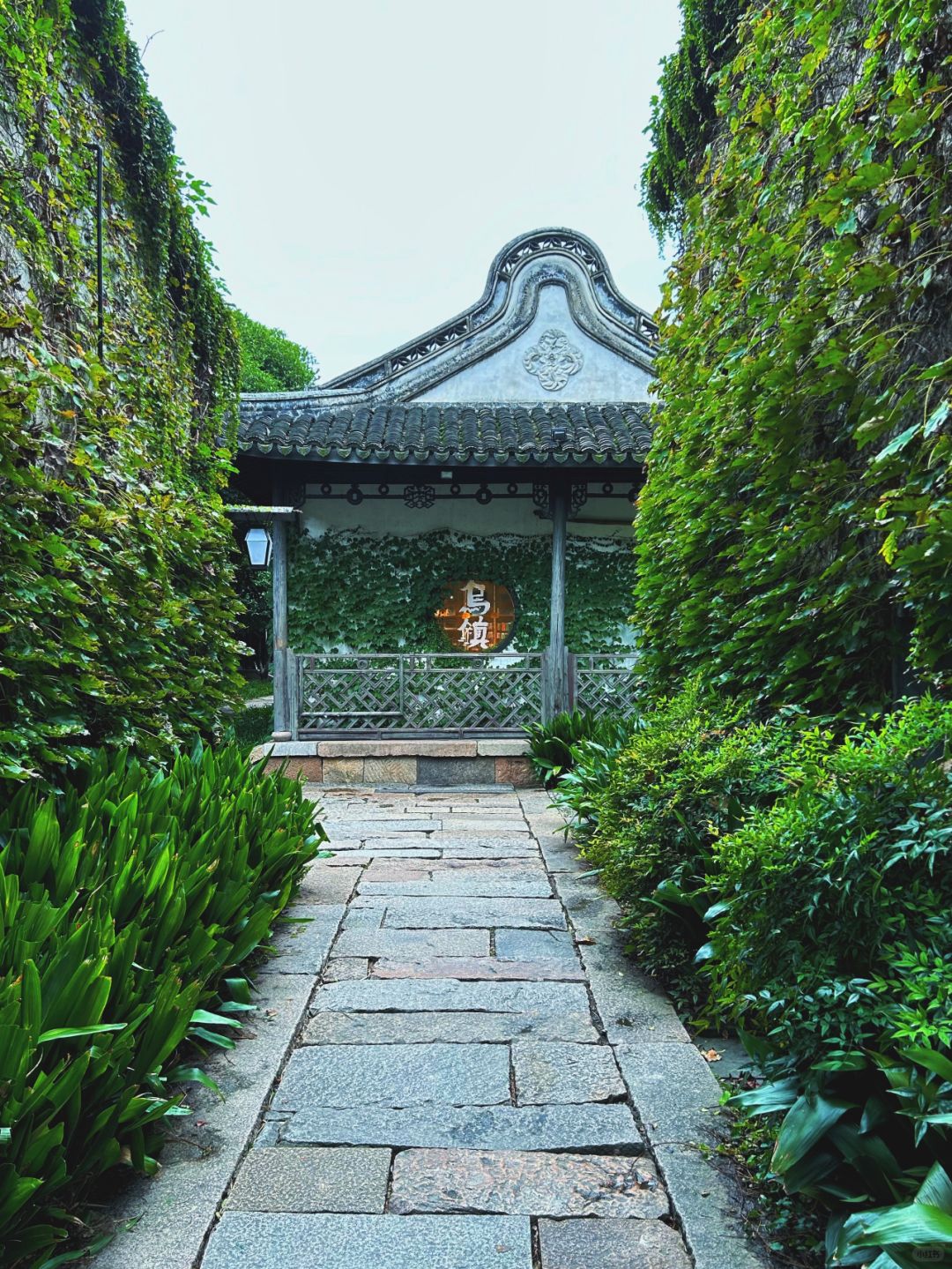 Shanghai/Hangzhou-Wuzhen, Jiangsu is filled with an atmosphere reminiscent of Chinese landscape paintings!