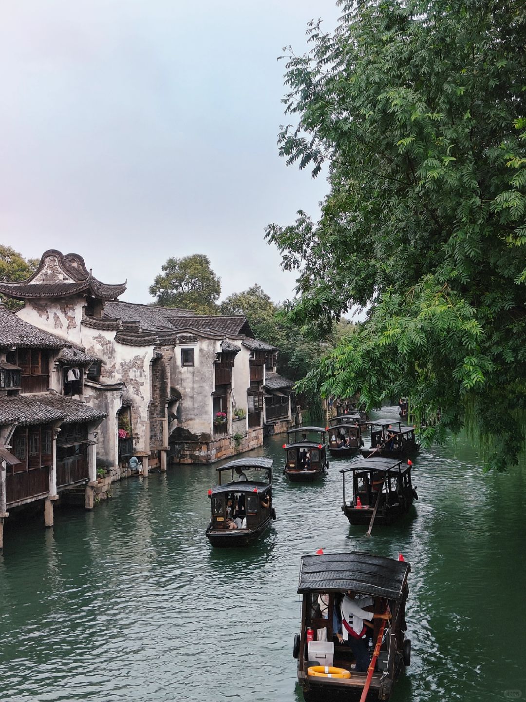 Jiangsu/Zhejiang/Shanghai-Wuzhen, Jiangsu, is a designed ancient town where even the river water is artificially regulated!