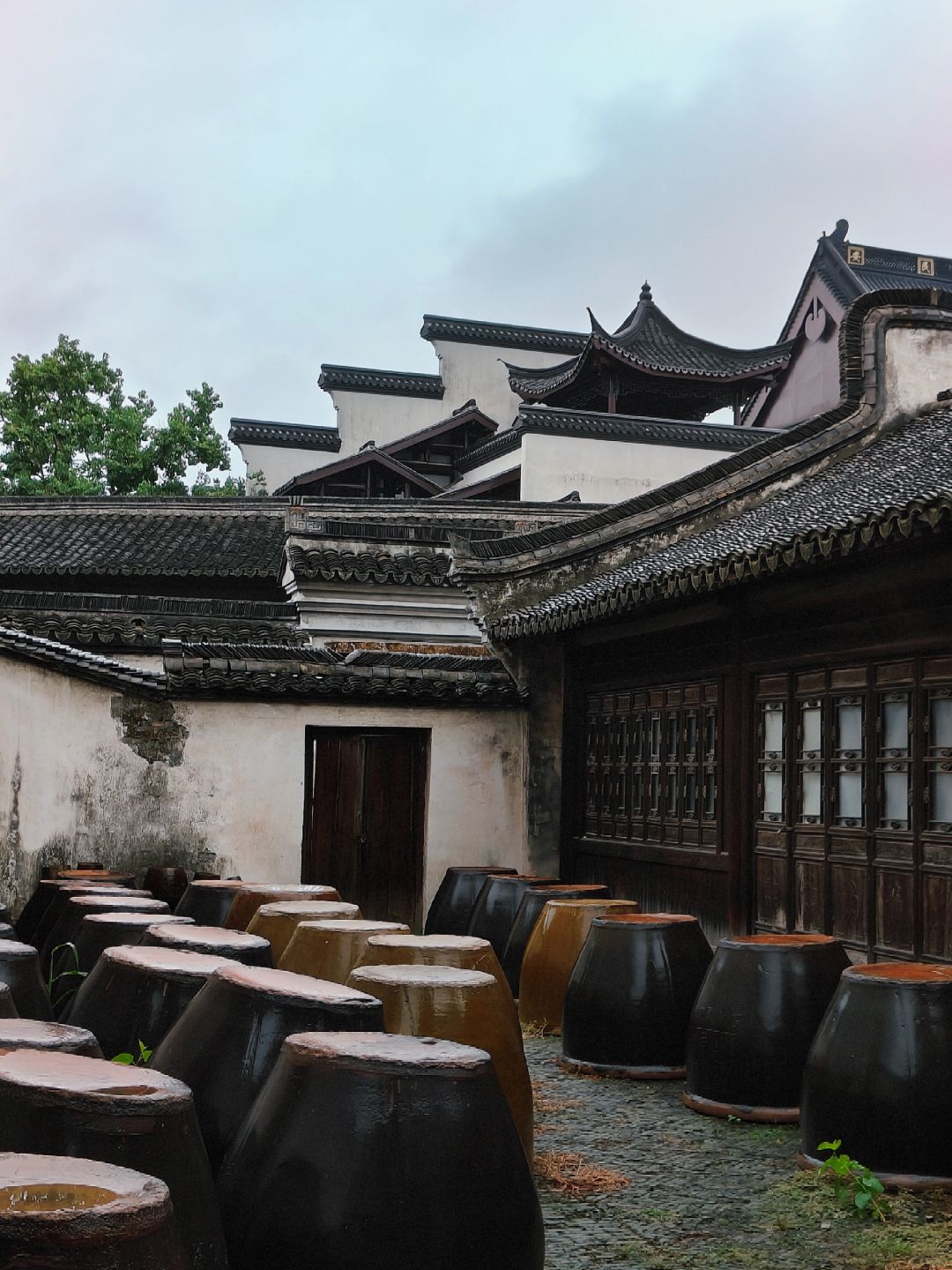 Jiangsu/Zhejiang/Shanghai-Wuzhen, Jiangsu, is a designed ancient town where even the river water is artificially regulated!