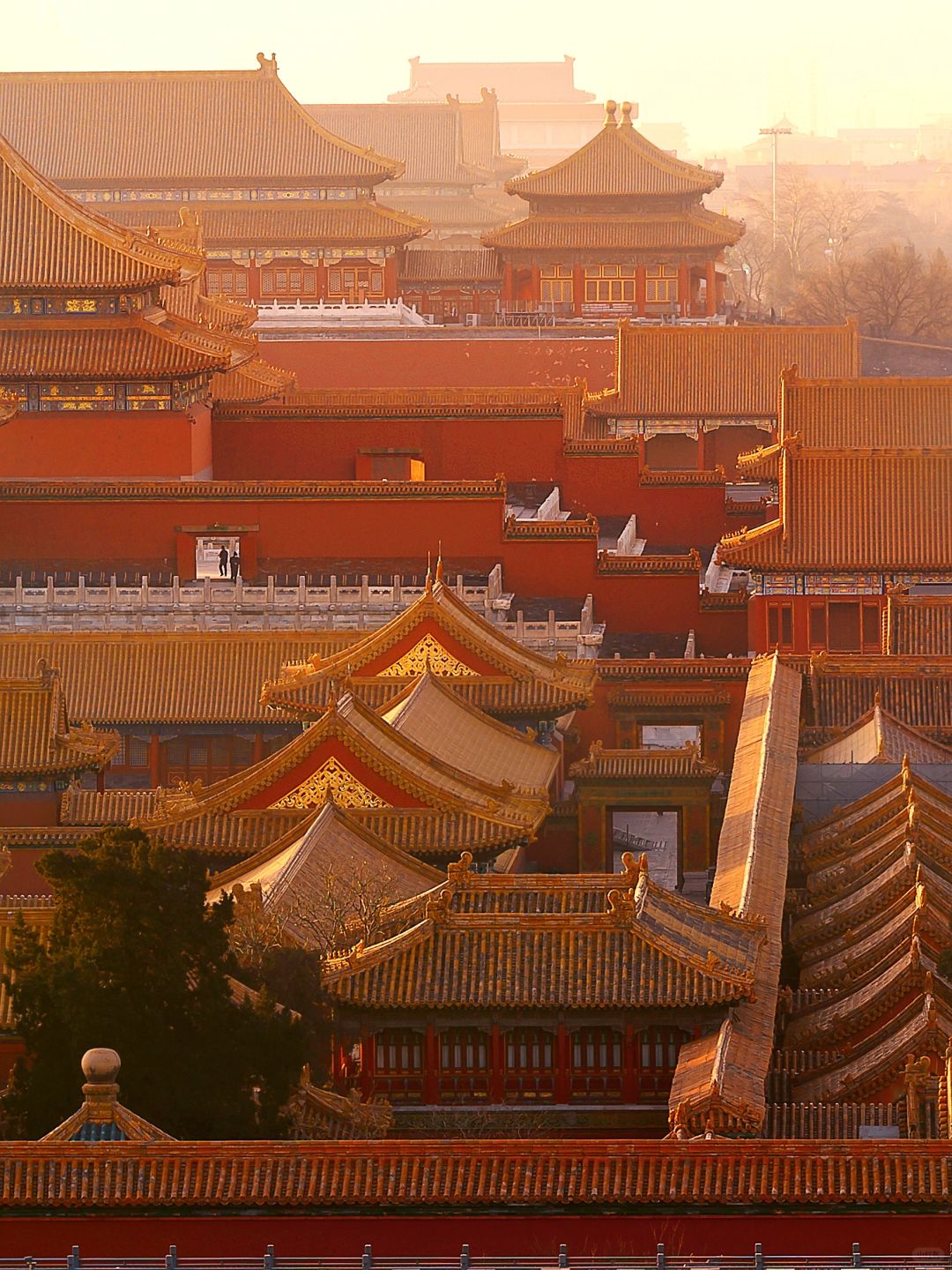 Beijing/Tianjin-Winter only | The sunrise at the Forbidden City is so New Year’s atmo