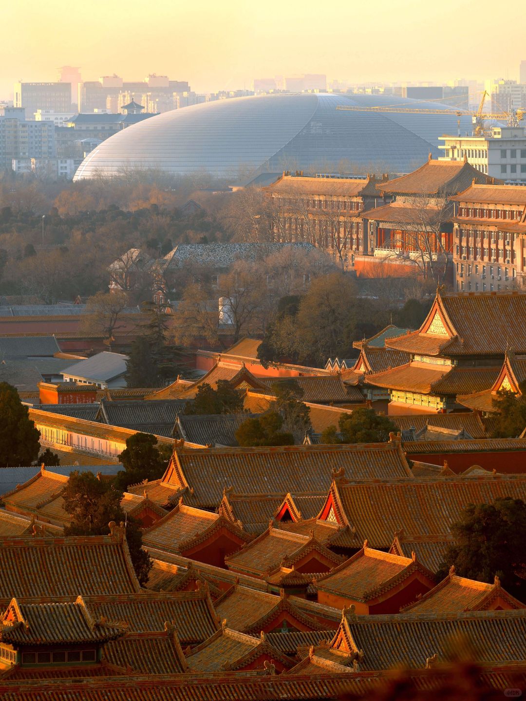 Beijing/Tianjin-Winter only | The sunrise at the Forbidden City is so New Year’s atmo