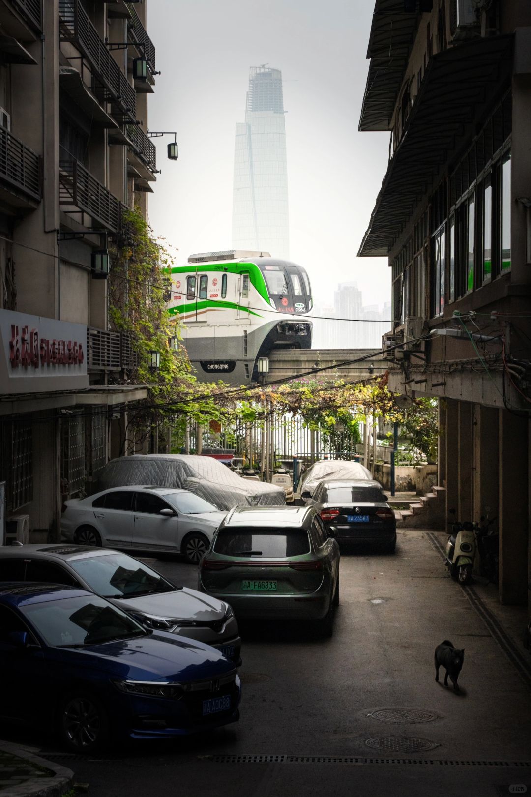 Sichuan-These 18 scenic camera positions in Chongqing are really amazing！