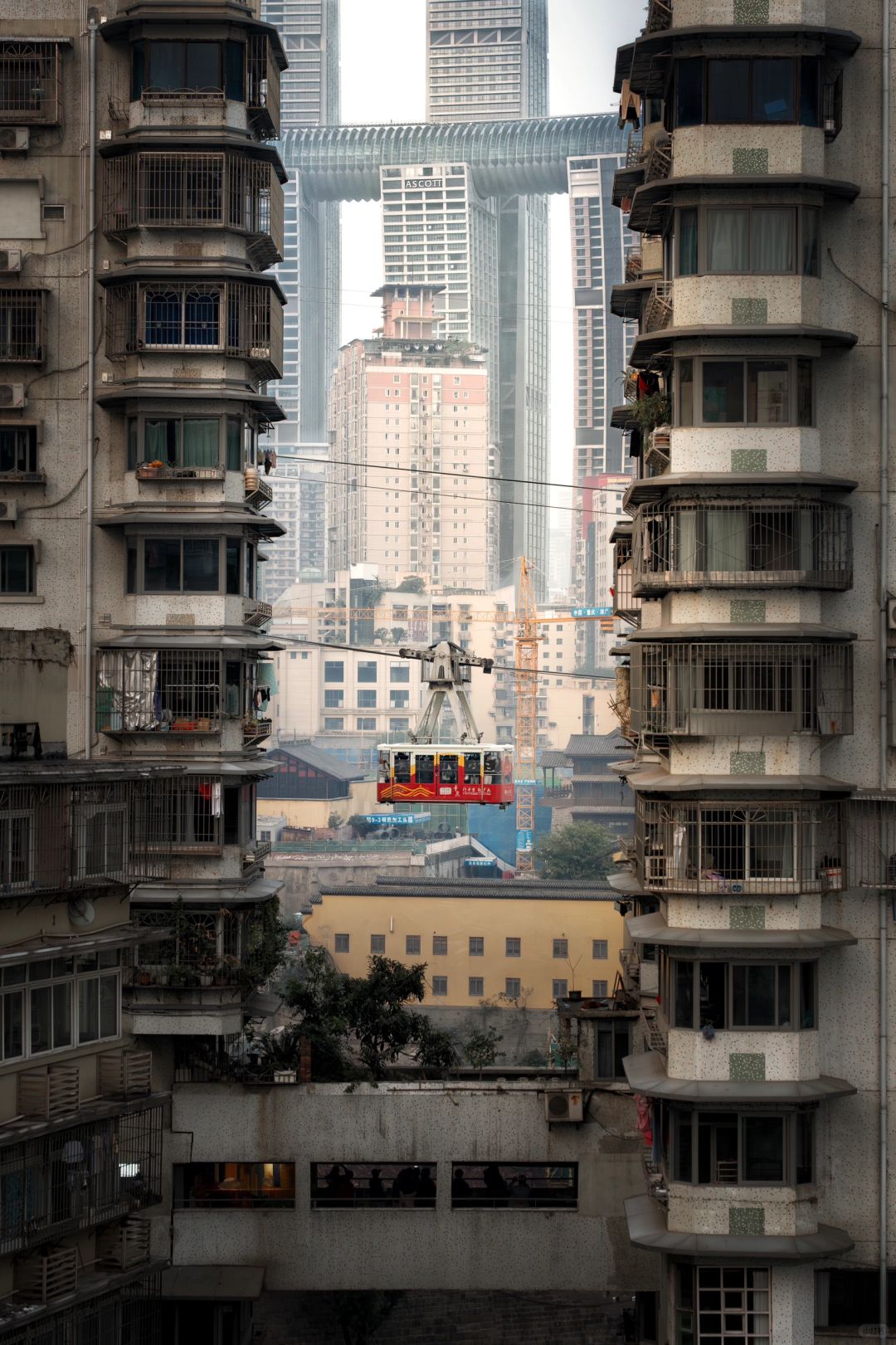 Sichuan-These 18 scenic camera positions in Chongqing are really amazing！