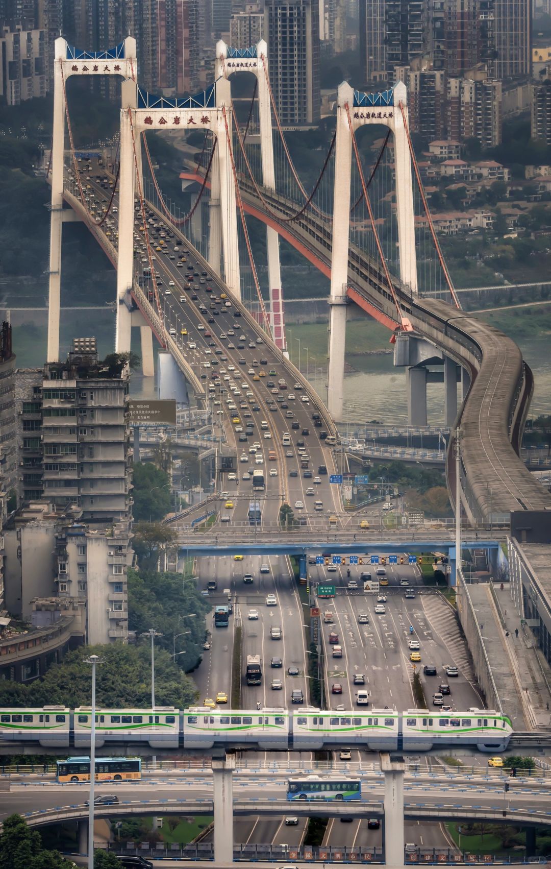 Sichuan-These 18 scenic camera positions in Chongqing are really amazing！