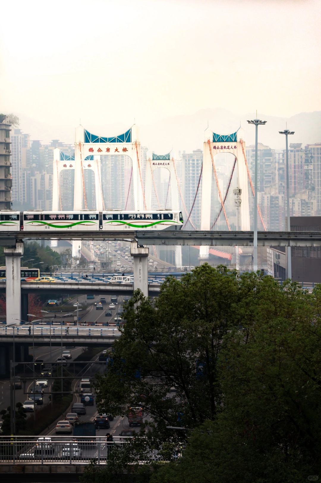 Sichuan-These 18 scenic camera positions in Chongqing are really amazing！