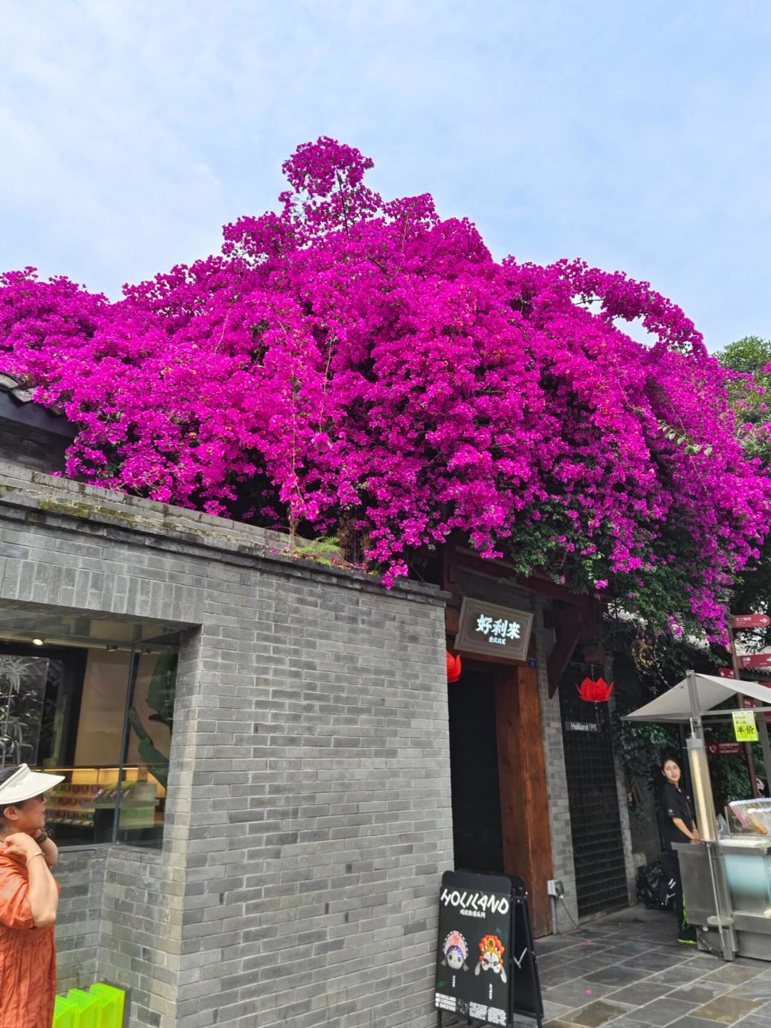 Sichuan-If you don't take a walk on these streets, you won't feel the authentic Chengdu lifestyle!