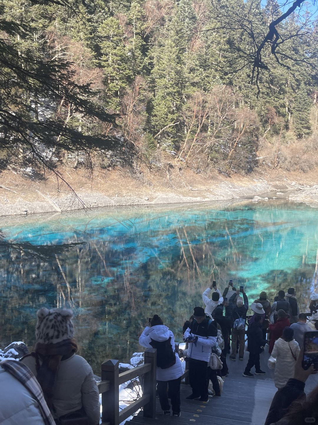 Sichuan-In winter, Jiuzhaigou Valley Scenic and Historic Interest Area, Sichuan, looks like a beautiful fairy tale world!