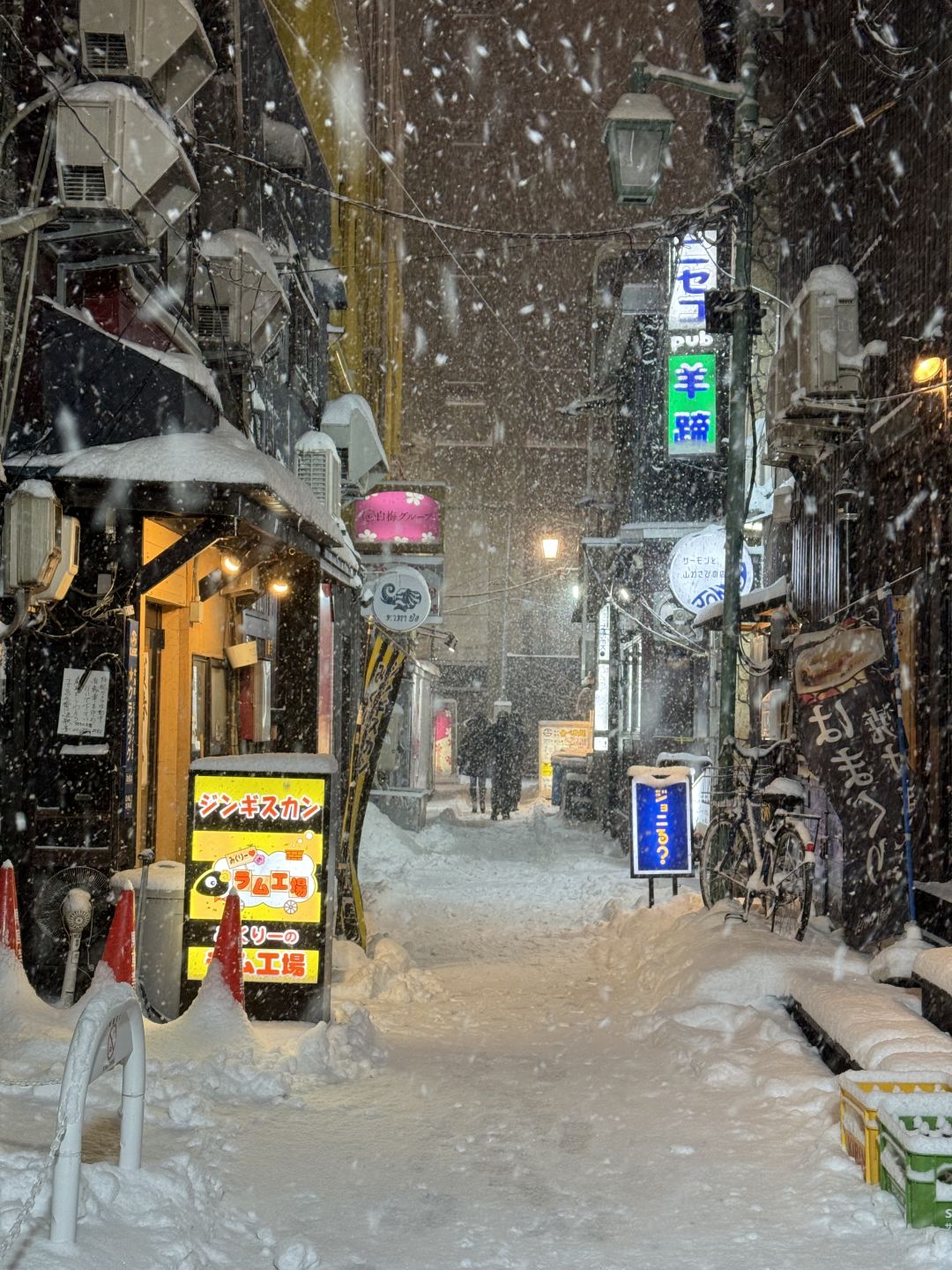 Sapporo/Hokkaido-The big house in Niseko:missing the winter of Hokkaido and tempura cafe