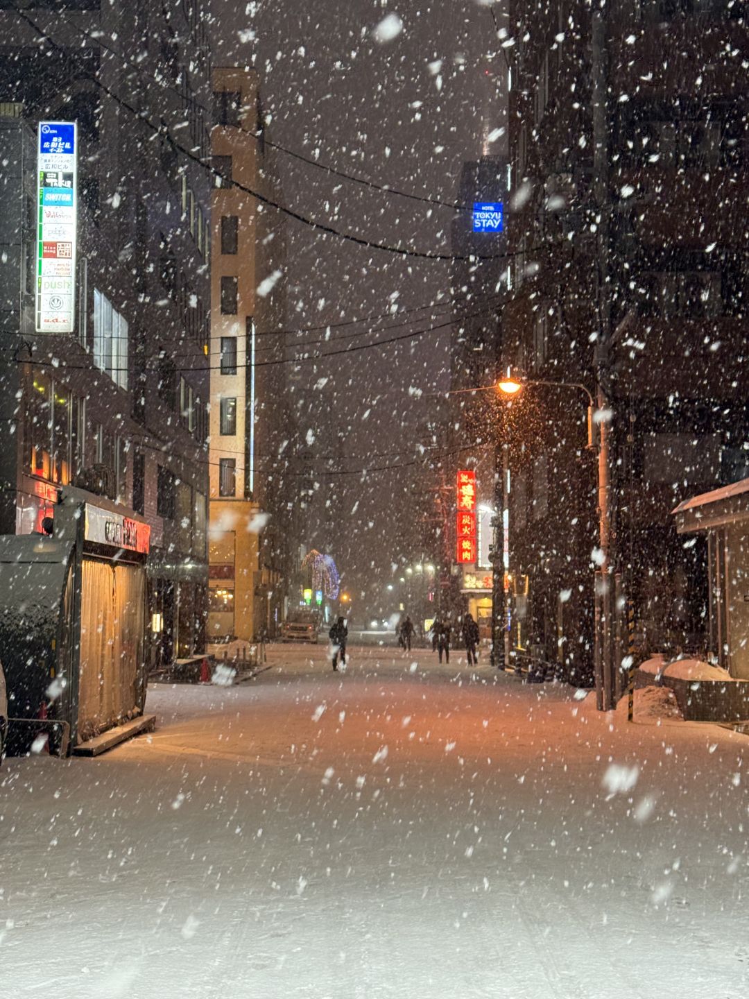 Sapporo/Hokkaido-The big house in Niseko:missing the winter of Hokkaido and tempura cafe