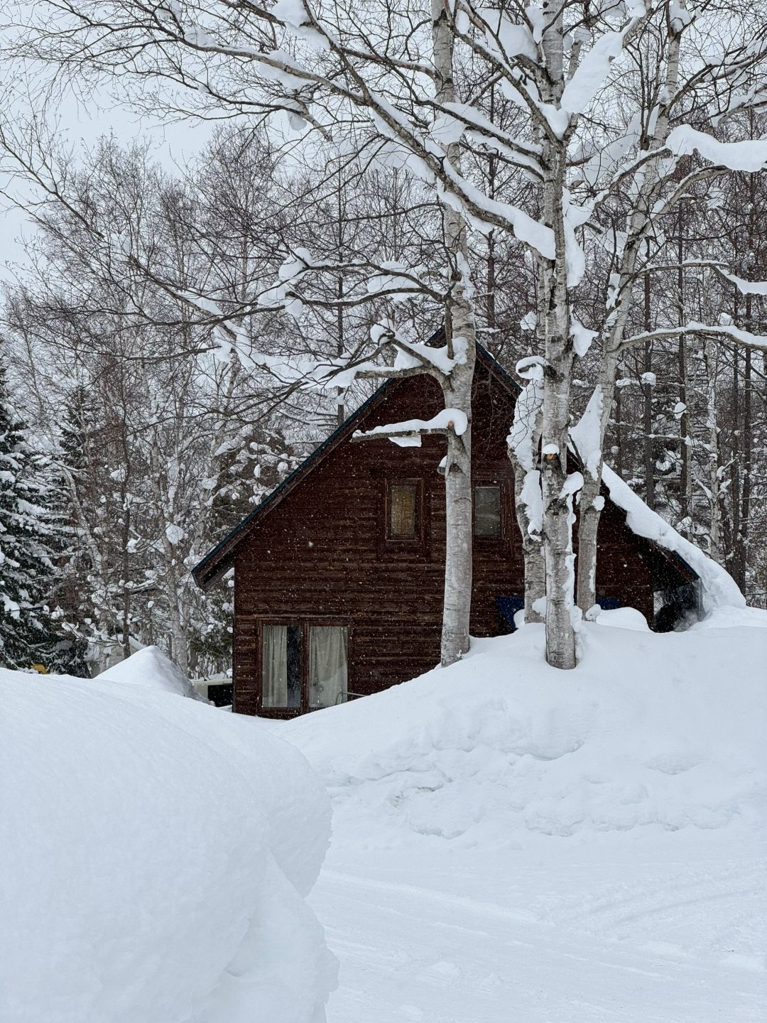 Sapporo/Hokkaido-The big house in Niseko:missing the winter of Hokkaido and tempura cafe