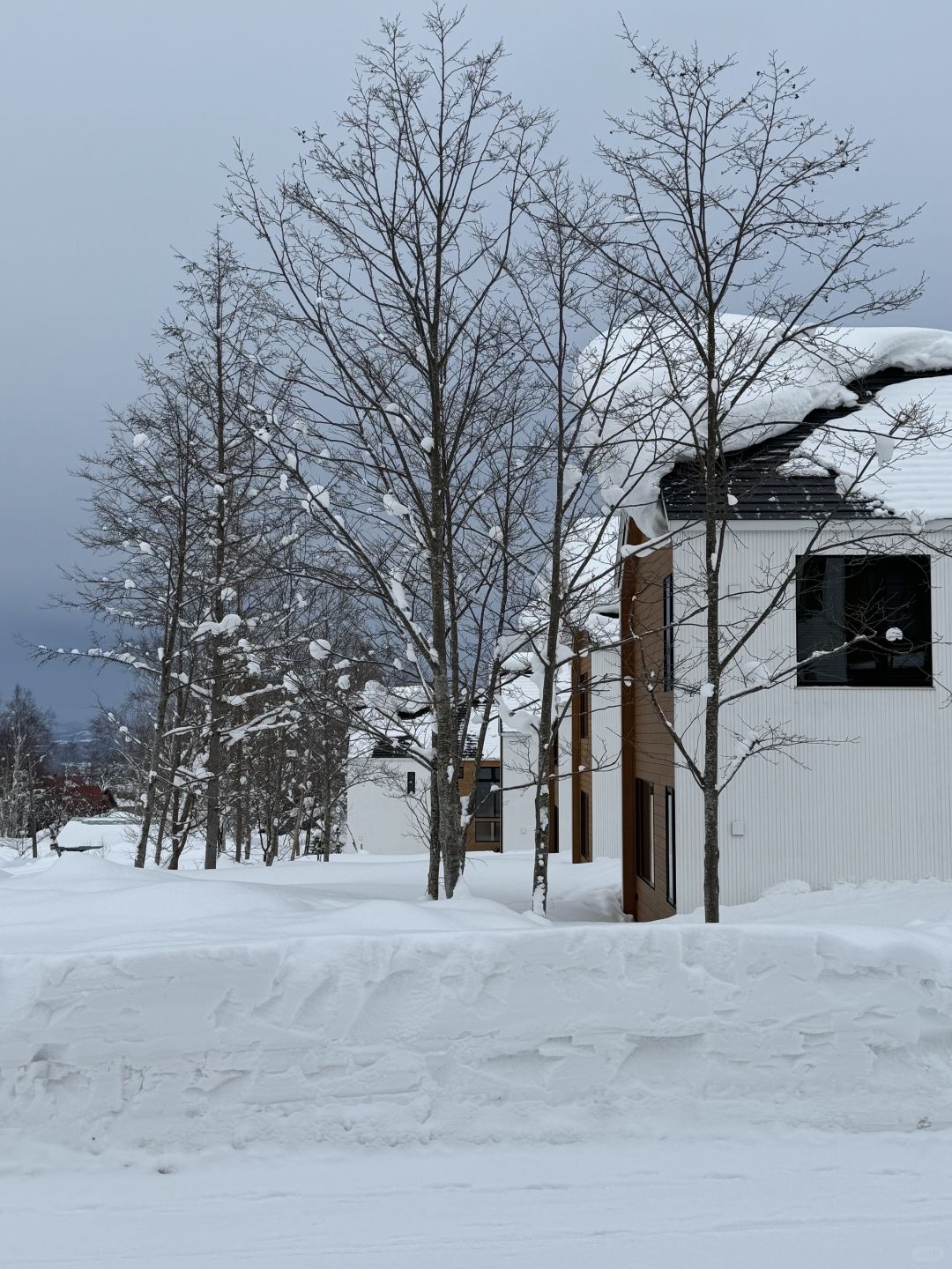 Sapporo/Hokkaido-The big house in Niseko:missing the winter of Hokkaido and tempura cafe