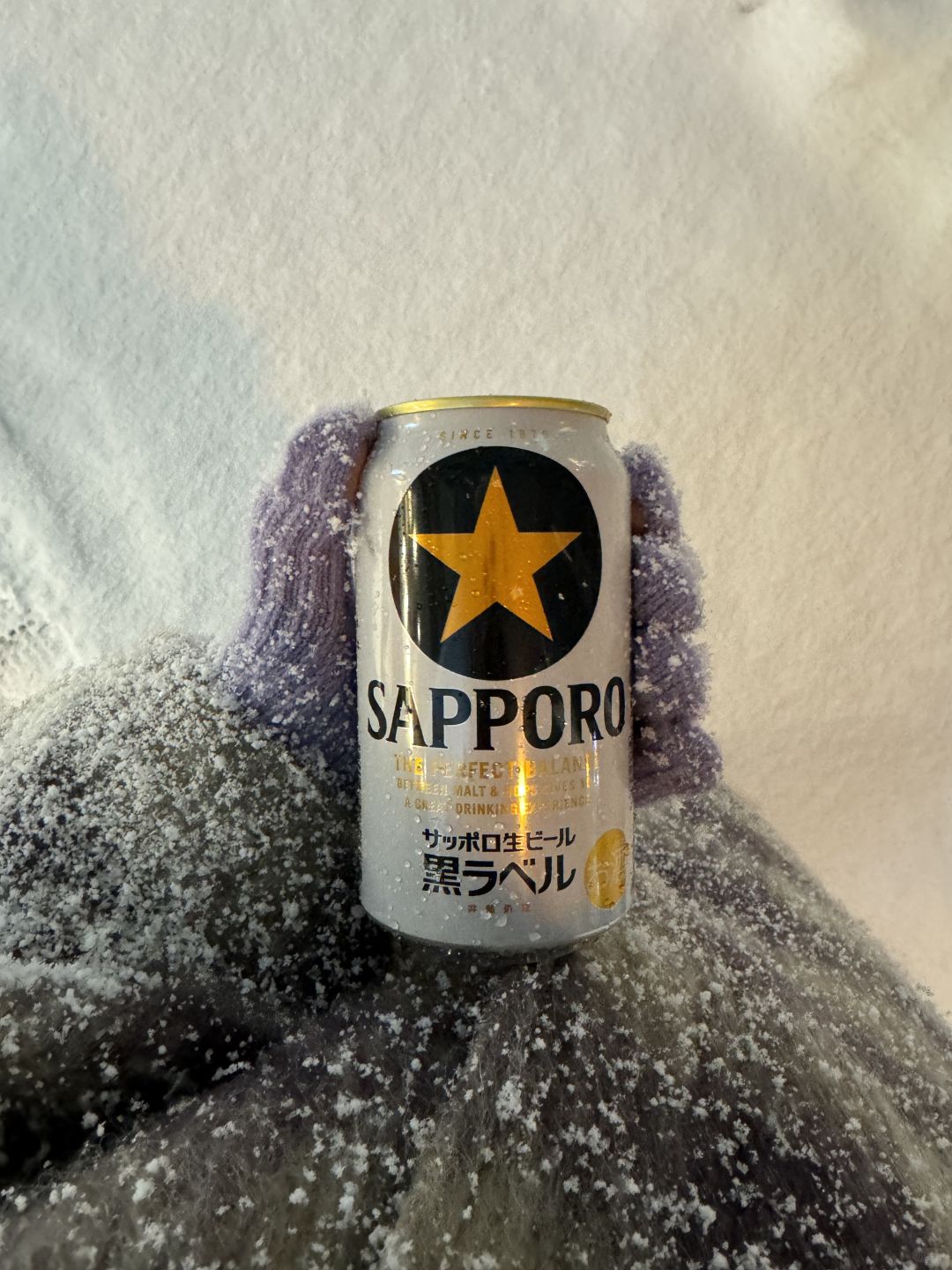 Sapporo/Hokkaido-The big house in Niseko:missing the winter of Hokkaido and tempura cafe