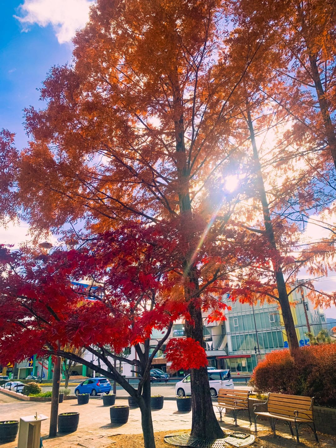 Osaka-Otsu Lake Case Nagisa Park,Lake Biwa in Kansai where you can soak up the sun